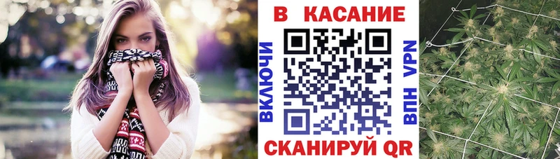 Псилоцибиновые грибы Галич