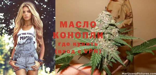 дживик Абинск