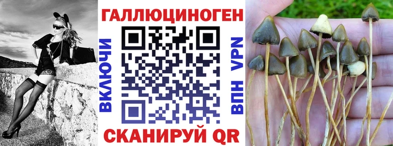 что такое наркотик  Галич  Псилоцибиновые грибы мицелий 